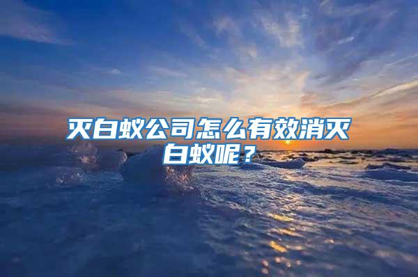 滅白蟻公司怎么有效消滅白蟻呢？