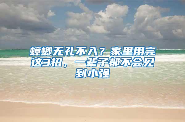 蟑螂無孔不入？家里用完這3招，一輩子都不會見到小強