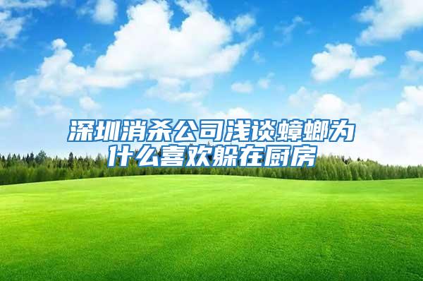 深圳消殺公司淺談蟑螂為什么喜歡躲在廚房