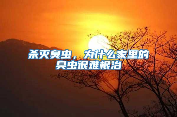 殺滅臭蟲(chóng)，為什么家里的臭蟲(chóng)很難根治