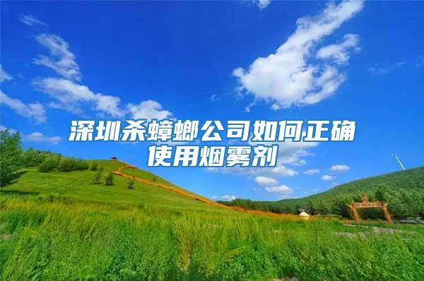 深圳殺蟑螂公司如何正確使用煙霧劑