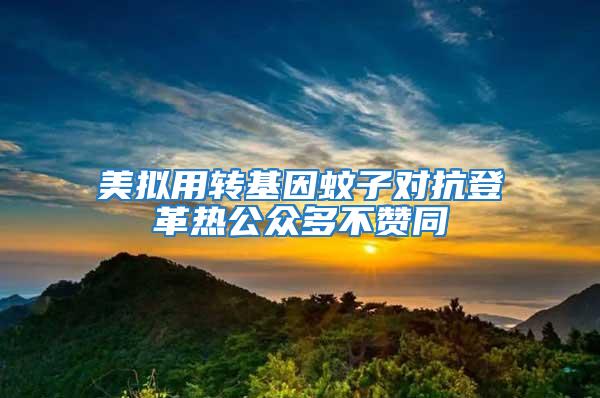 美擬用轉(zhuǎn)基因蚊子對抗登革熱公眾多不贊同