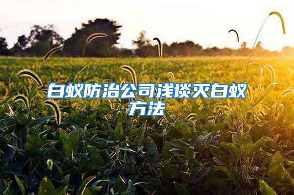 白蟻防治公司淺談滅白蟻方法