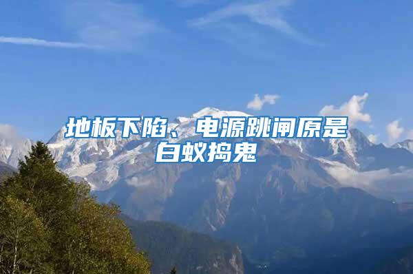 地板下陷、電源跳閘原是白蟻搗鬼