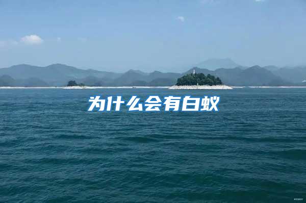 為什么會(huì)有白蟻