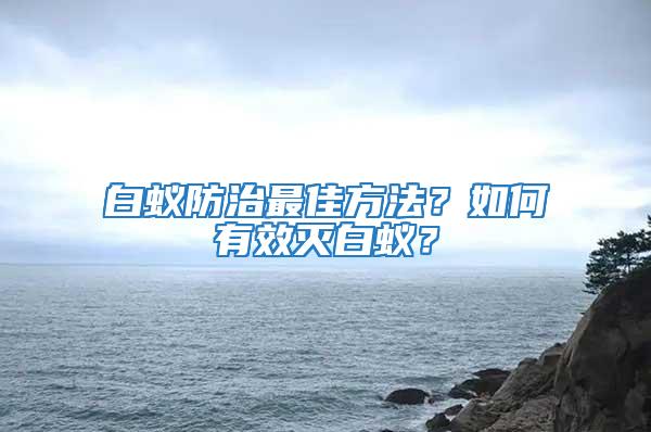 白蟻防治最佳方法？如何有效滅白蟻？