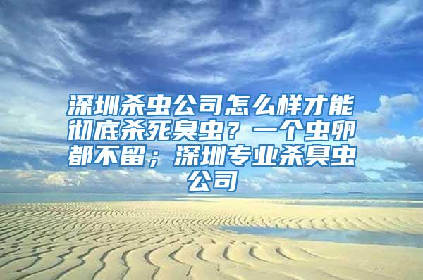 深圳殺蟲公司怎么樣才能徹底殺死臭蟲？一個(gè)蟲卵都不留；深圳專業(yè)殺臭蟲公司