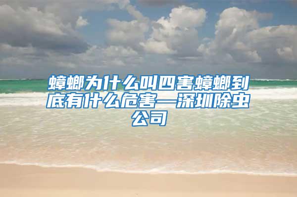 蟑螂為什么叫四害蟑螂到底有什么危害—深圳除蟲公司