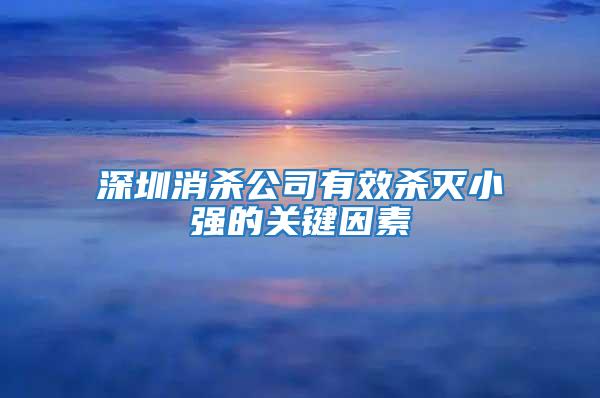 深圳消殺公司有效殺滅小強的關(guān)鍵因素