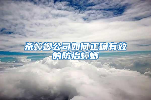 殺蟑螂公司如何正確有效的防治蟑螂