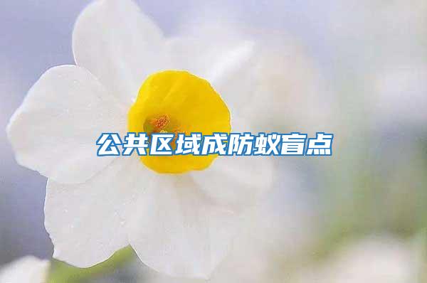 公共區(qū)域成防蟻盲點(diǎn)