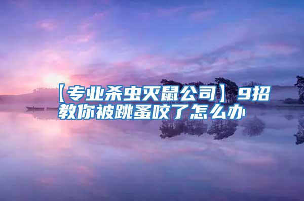 【專業(yè)殺蟲(chóng)滅鼠公司】9招教你被跳蚤咬了怎么辦