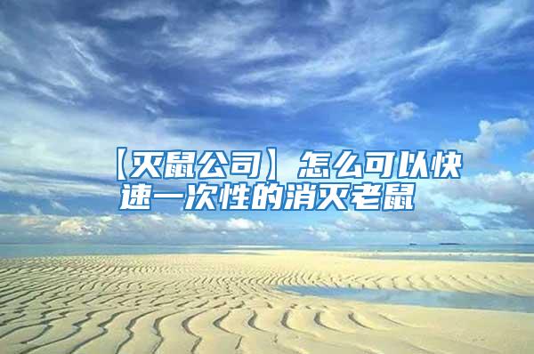 【滅鼠公司】怎么可以快速一次性的消滅老鼠