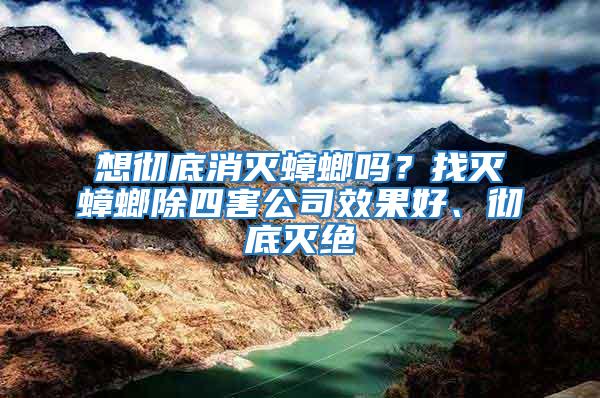 想徹底消滅蟑螂嗎？找滅蟑螂除四害公司效果好、徹底滅絕