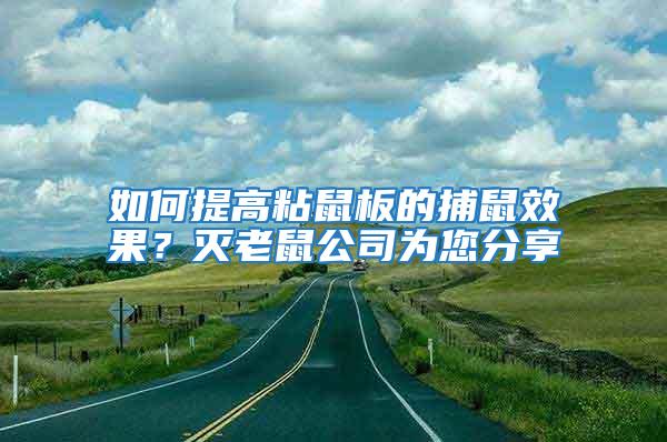 如何提高粘鼠板的捕鼠效果？滅老鼠公司為您分享