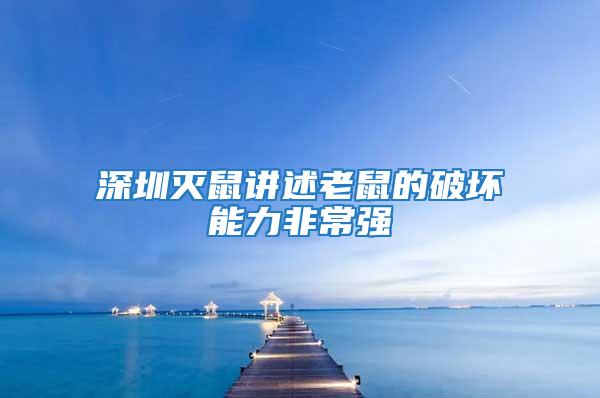 深圳滅鼠講述老鼠的破壞能力非常強(qiáng)