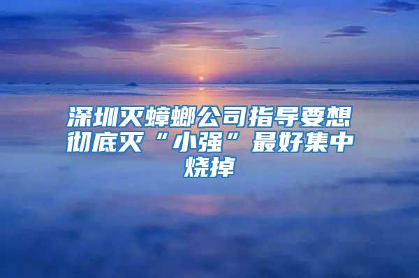 深圳滅蟑螂公司指導(dǎo)要想徹底滅“小強(qiáng)”最好集中燒掉