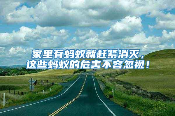 家里有螞蟻就趕緊消滅，這些螞蟻的危害不容忽視！