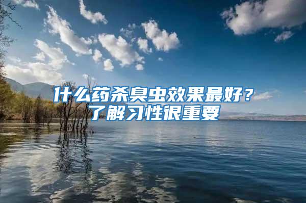 什么藥殺臭蟲效果最好？了解習性很重要