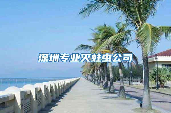 深圳專業(yè)滅蛀蟲公司