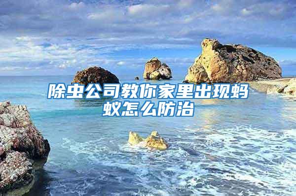 除蟲公司教你家里出現(xiàn)螞蟻怎么防治