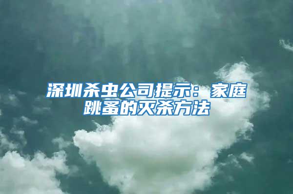 深圳殺蟲公司提示：家庭跳蚤的滅殺方法