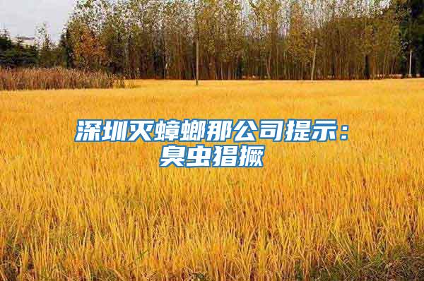 深圳滅蟑螂那公司提示：臭蟲猖撅