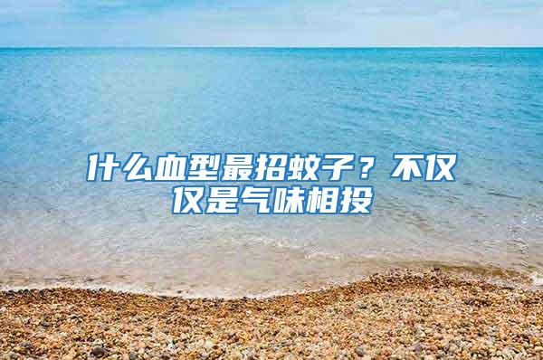 什么血型最招蚊子？不僅僅是氣味相投