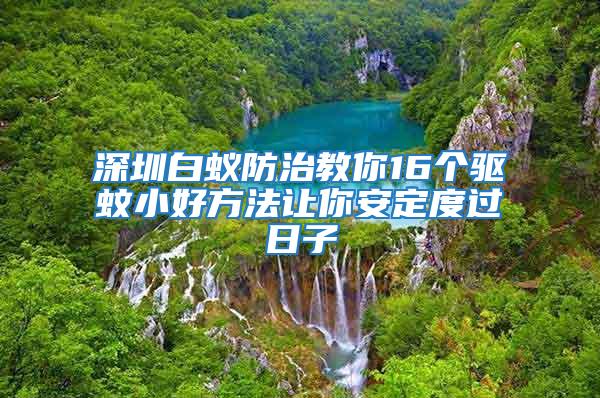 深圳白蟻防治教你16個驅(qū)蚊小好方法讓你安定度過日子