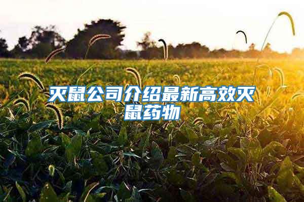 滅鼠公司介紹最新高效滅鼠藥物