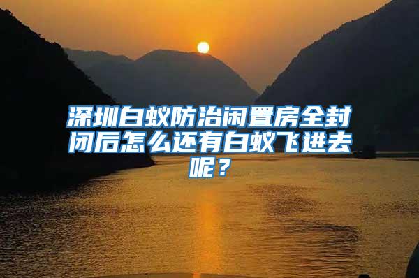 深圳白蟻防治閑置房全封閉后怎么還有白蟻飛進去呢？