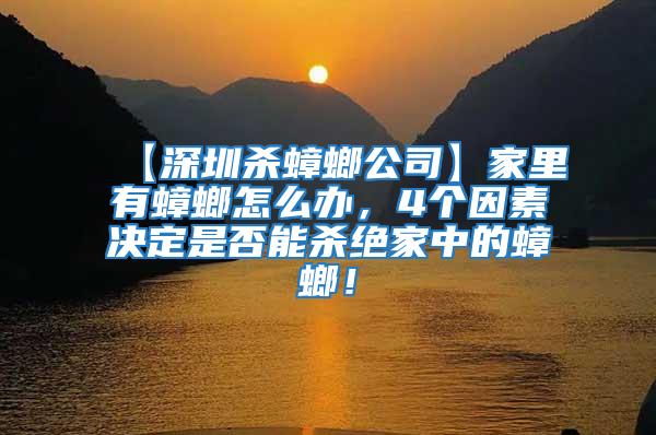 【深圳殺蟑螂公司】家里有蟑螂怎么辦，4個因素決定是否能殺絕家中的蟑螂！