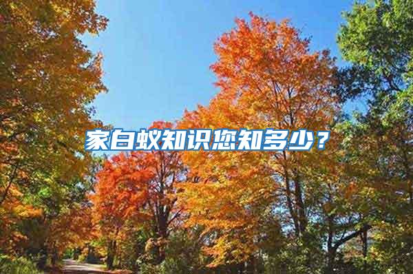 家白蟻知識(shí)您知多少？