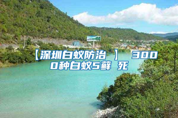 【深圳白蟻防治 】 3000種白蟻5蘚θ死