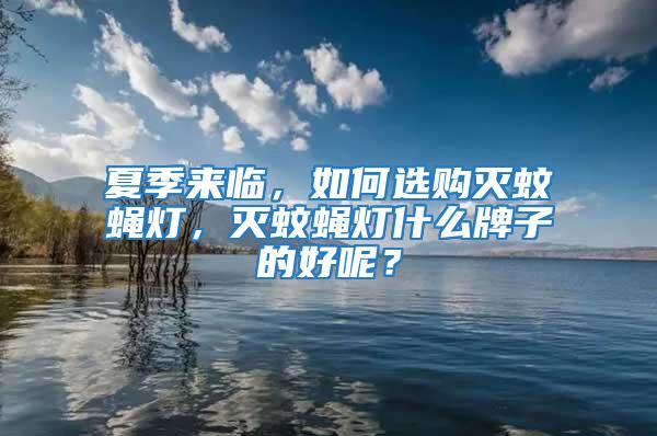 夏季來臨，如何選購滅蚊蠅燈，滅蚊蠅燈什么牌子的好呢？