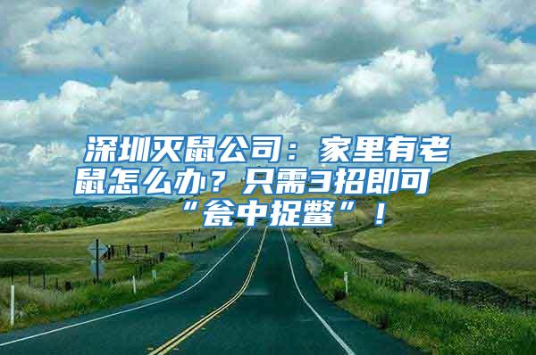 深圳滅鼠公司：家里有老鼠怎么辦？只需3招即可“甕中捉鱉”！