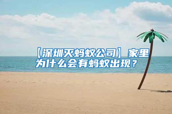 【深圳滅螞蟻公司】家里為什么會有螞蟻出現(xiàn)？