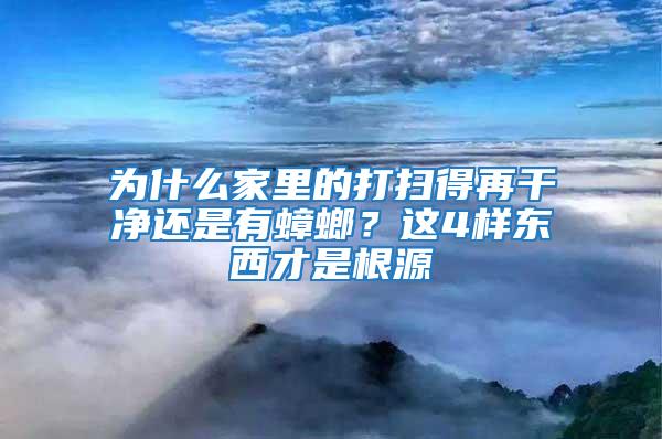 為什么家里的打掃得再干凈還是有蟑螂？這4樣東西才是根源