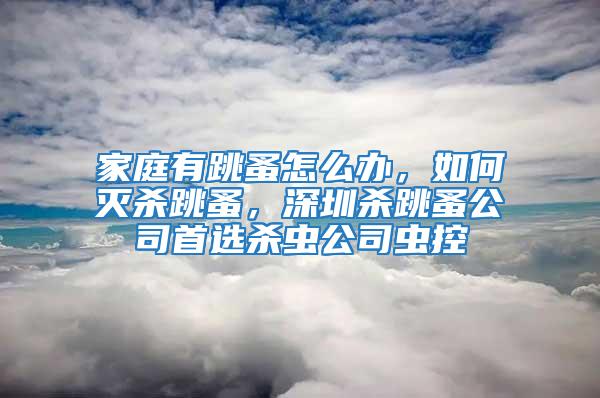 家庭有跳蚤怎么辦，如何滅殺跳蚤，深圳殺跳蚤公司首選殺蟲公司蟲控