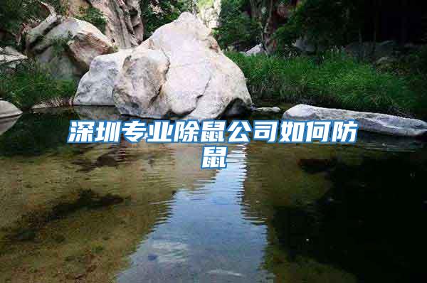 深圳專業(yè)除鼠公司如何防鼠