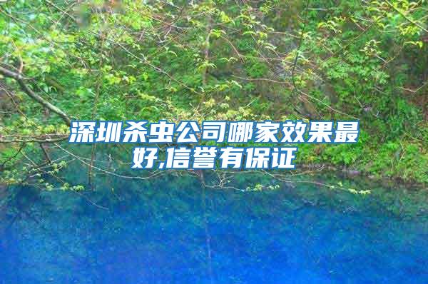 深圳殺蟲(chóng)公司哪家效果最好,信譽(yù)有保證