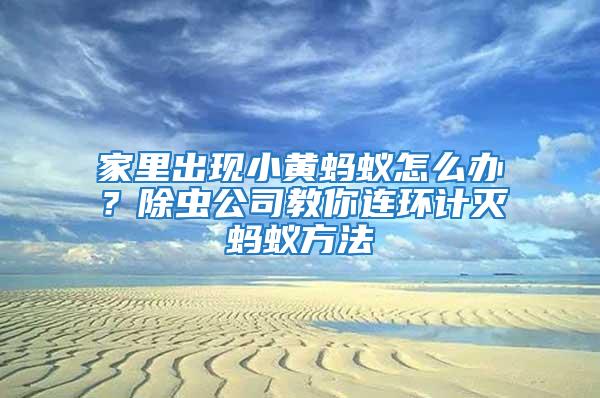 家里出現(xiàn)小黃螞蟻怎么辦？除蟲公司教你連環(huán)計(jì)滅螞蟻方法