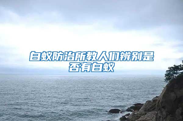 白蟻防治所教人們辨別是否有白蟻