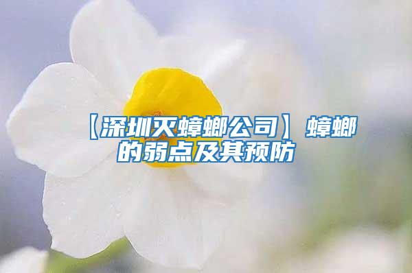 【深圳滅蟑螂公司】蟑螂的弱點(diǎn)及其預(yù)防