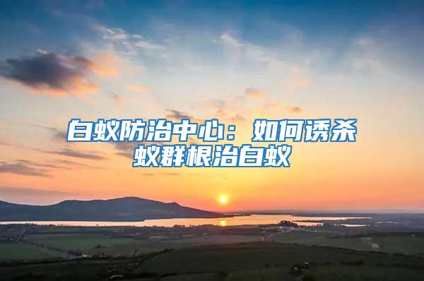 白蟻防治中心：如何誘殺蟻群根治白蟻