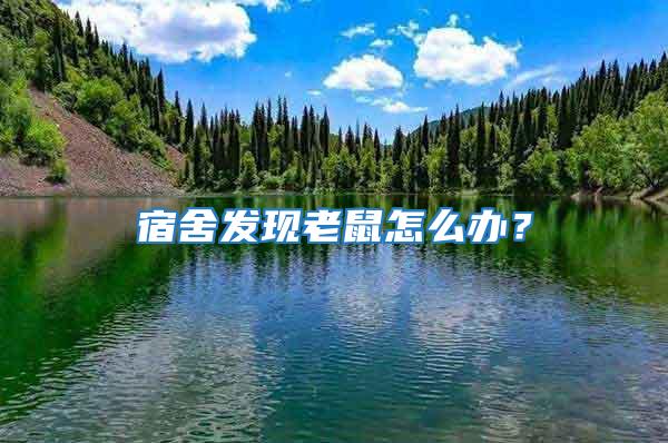 宿舍發(fā)現(xiàn)老鼠怎么辦？