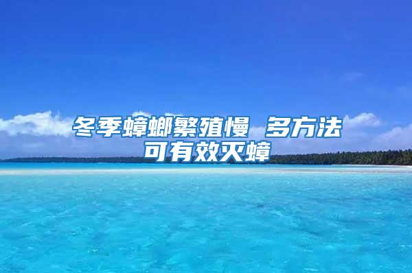 冬季蟑螂繁殖慢 多方法可有效滅蟑