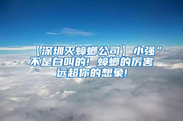 【深圳滅蟑螂公司】小強”不是白叫的! 蟑螂的厲害遠(yuǎn)超你的想象!