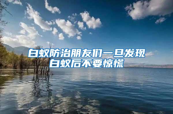 白蟻防治朋友們一旦發(fā)現(xiàn)白蟻后不要驚慌