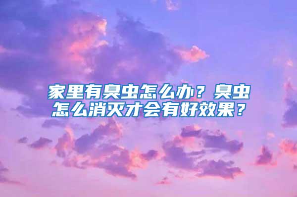 家里有臭蟲怎么辦？臭蟲怎么消滅才會有好效果？